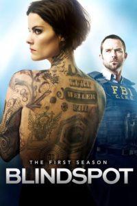 Nonton Blindspot: Season 1