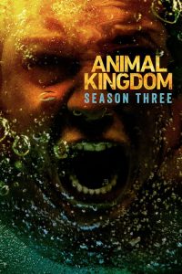 Nonton Animal Kingdom: Season 3