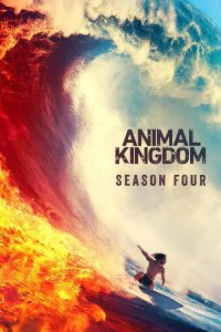 Nonton Animal Kingdom: Season 4