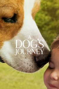 Nonton A Dog’s Journey 2019