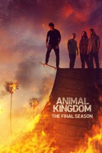 Nonton Animal Kingdom: Season 6