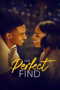 Nonton The Perfect Find 2023