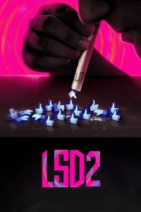 Nonton LSD 2: Love, Sex aur Dhokha 2 2024