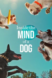 Nonton Inside the Mind of a Dog 2024